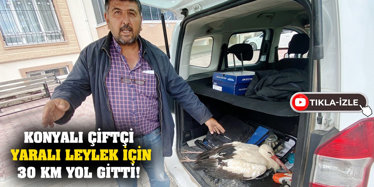 Konyalı çiftçi yaralı leylek için 30 km yol gitti!