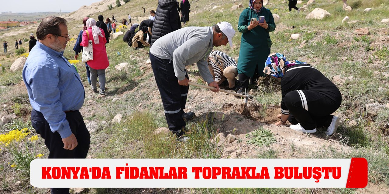 Konya'da fidanlar toprakla buluştu