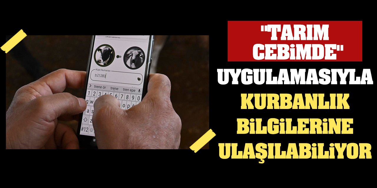 'Tarım Cebimde' uygulamasıyla kurbanlık bilgilerine ulaşılabiliyor