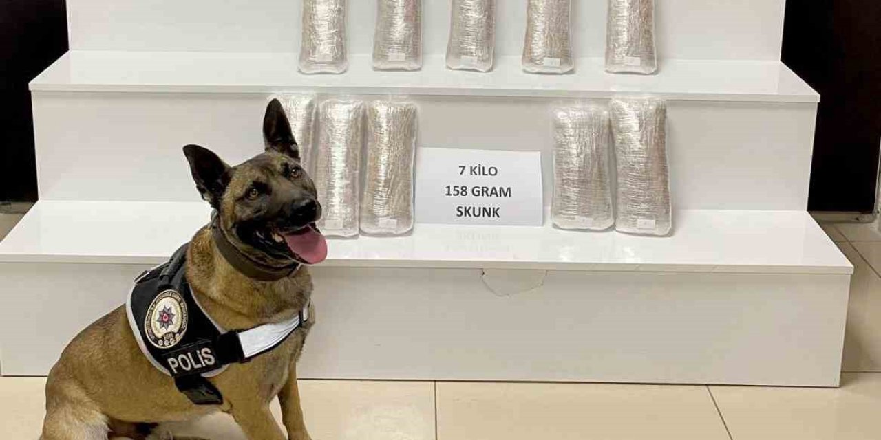 Narkotik köpeği ’Ateş’ 7 kilo uyuşturucuyu buldu