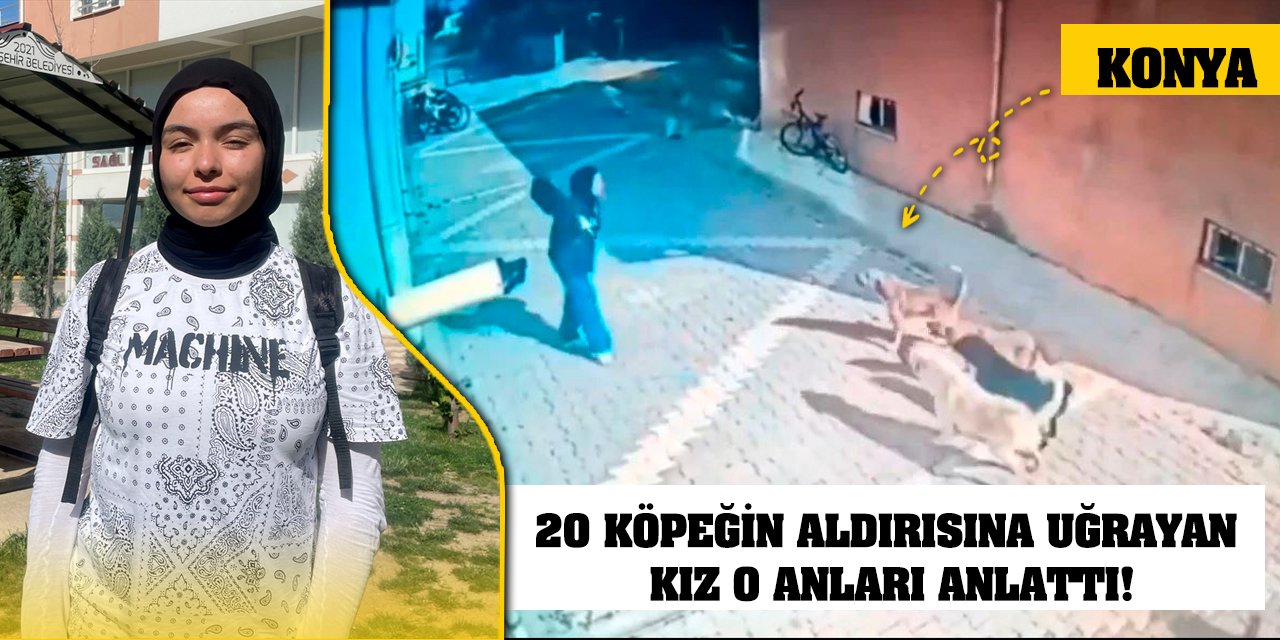 Konya'da 20 köpeğin saldırısına uğrayan kız o anları anlattı!