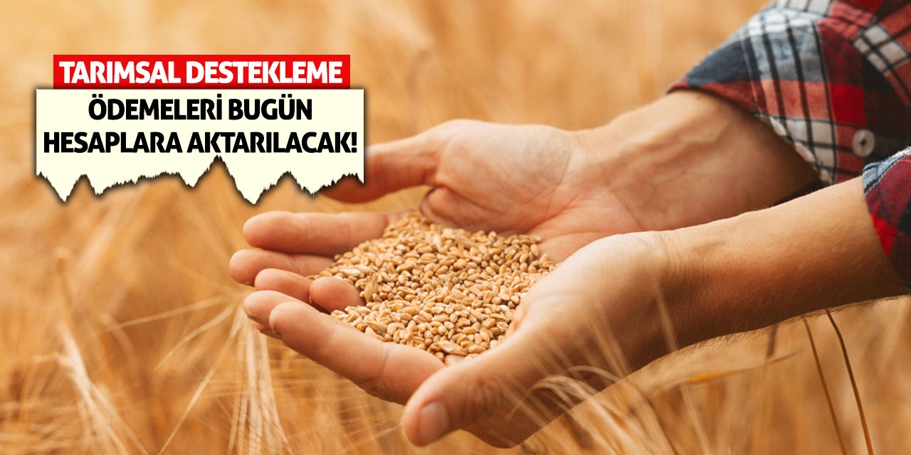 Tarımsal destekleme ödemeleri bugün hesaplara aktarılacak