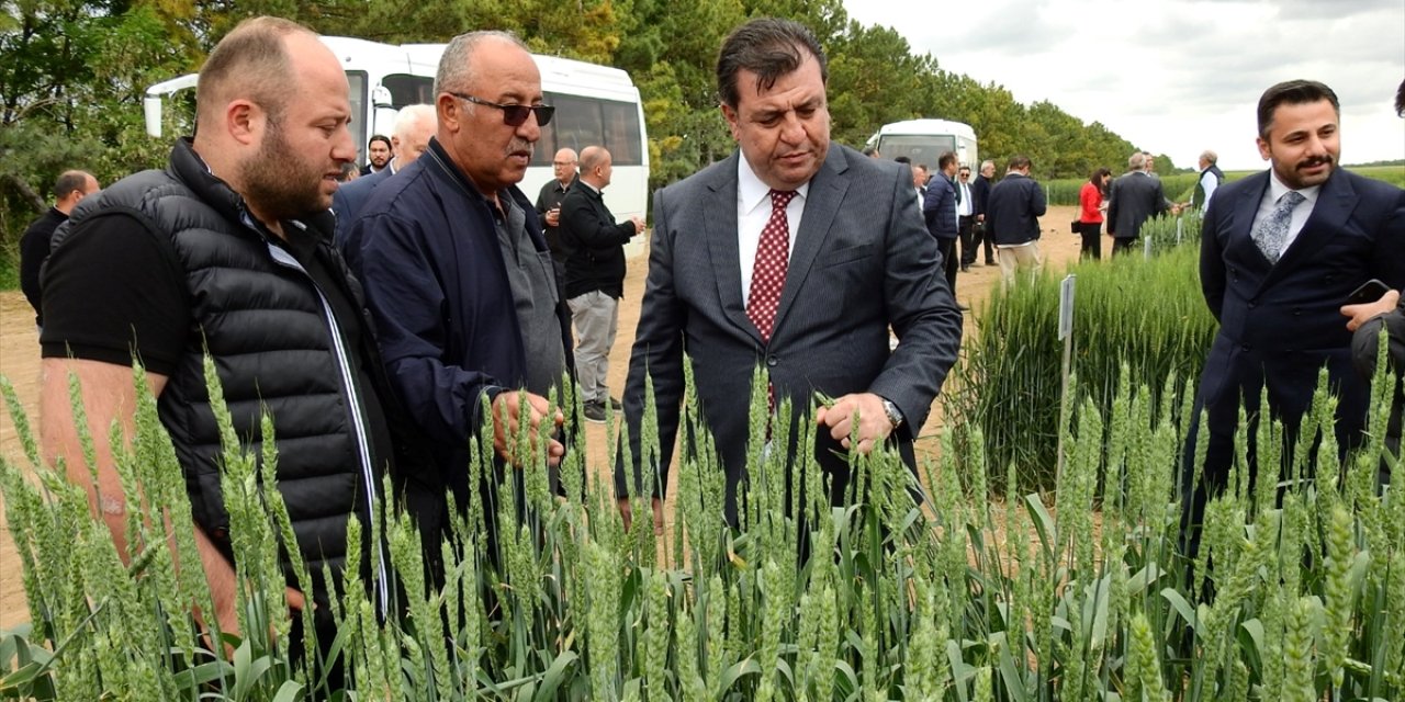 TİGEM İç Anadolu Bölgesi İstişare Toplantısı Konya'da yapıldı