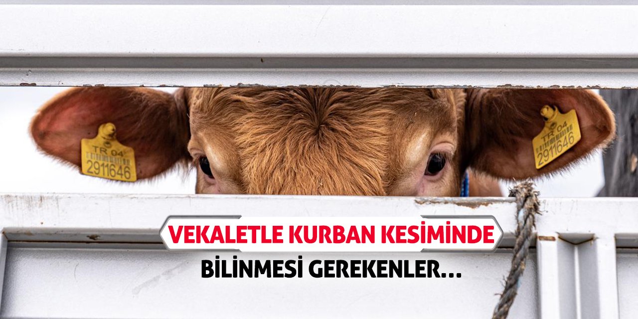 Vekaletle Kurban Kesiminde Bilinmesi Gerekenler…