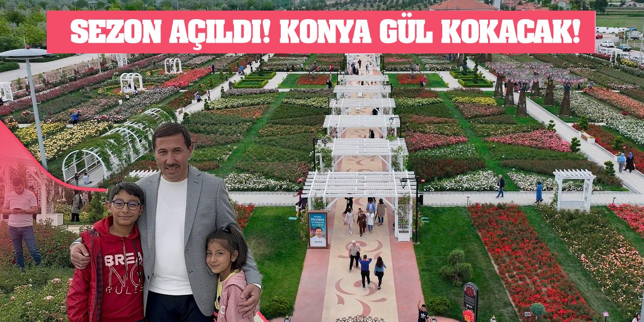 Sezon Açıldı! Konya Gül Kokacak!