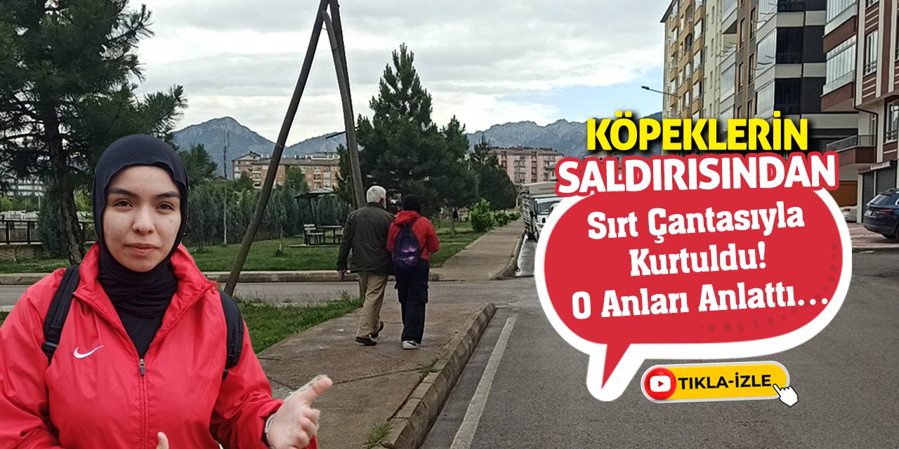 Köpeklerin Saldırısından Sırt Çantasıyla Kurtuldu! O Anları Anlattı…