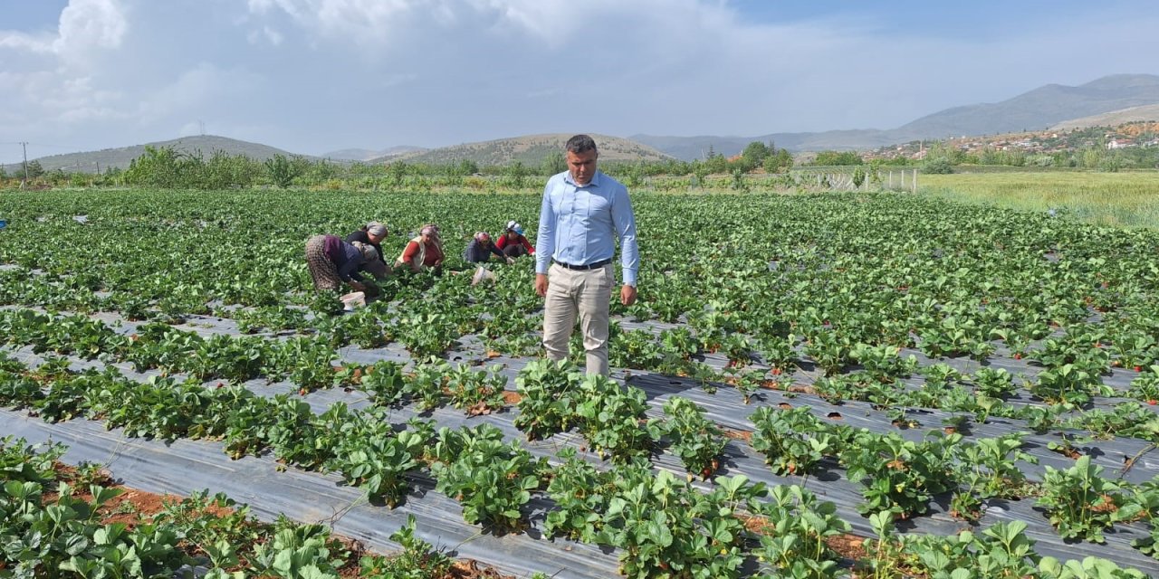 Son yağışlar Konya'da çiftçilerin yüzünü güldürdü