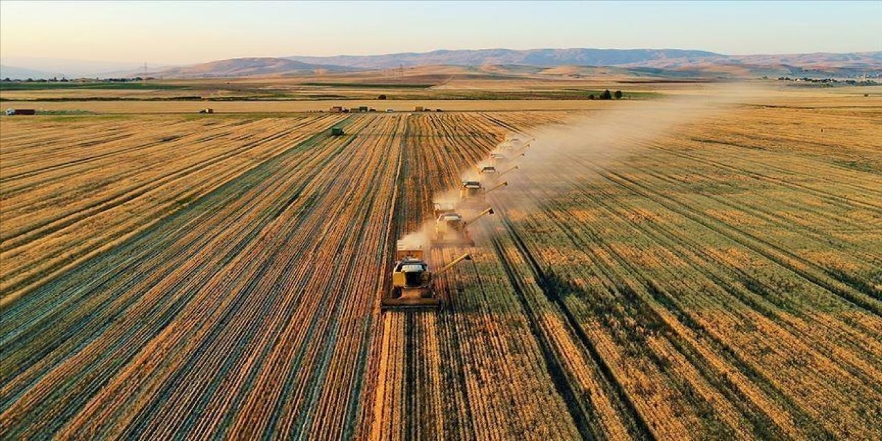 Çiftçilere 30 milyon 54 bin lira tarımsal destekleme ödemesi yapılacak