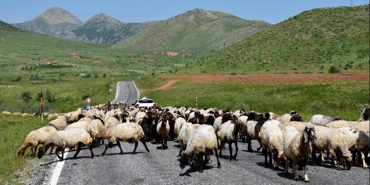 Göçerler yaylaların yolunu tutuyor