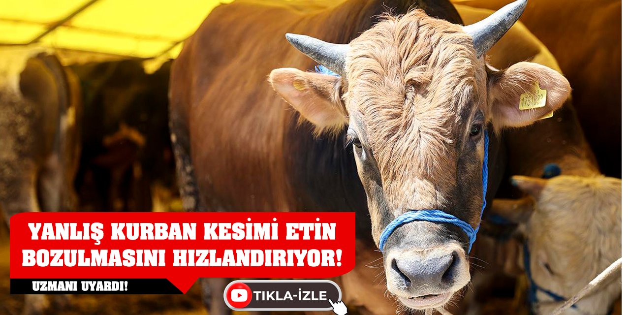 Uzmanı Uyardı! Yanlış Kurban Kesimi Etin Bozulmasını Hızlandırıyor!