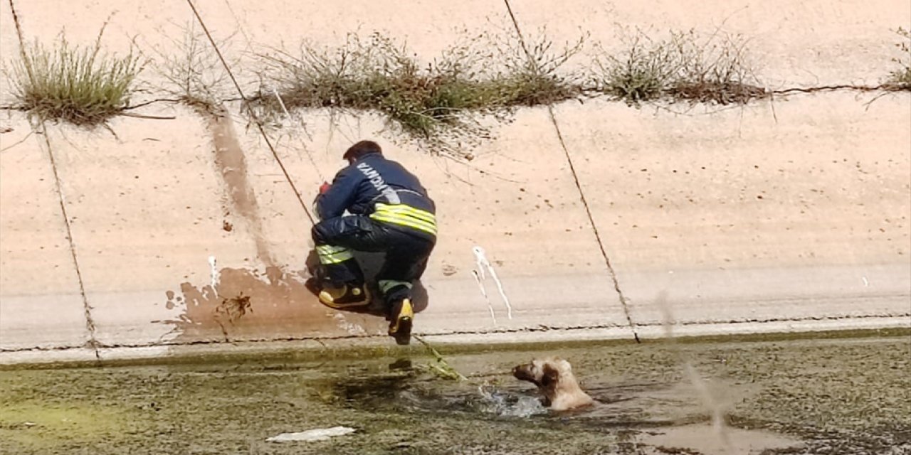 Konya'da sulama kanalına düşen köpeği itfaiye ekipleri kurtardı