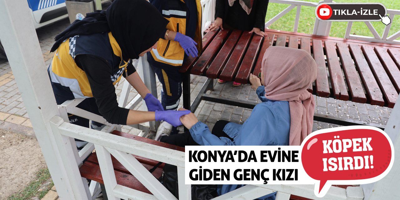 Konya'da Evine Giden Genç Kızı Köpek Isırdı!