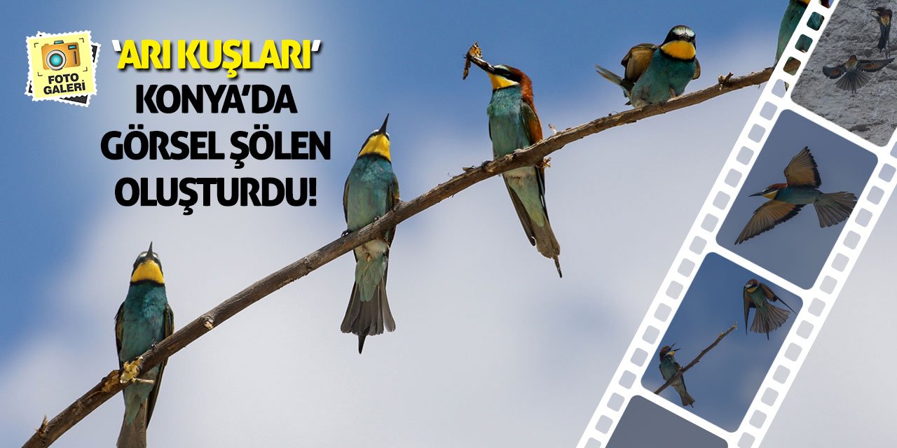 ‘Arı Kuşları’ Konya’da Görsel Şölen Oluşturdu!