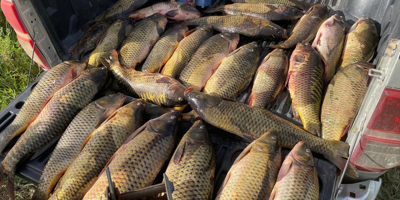 Konya'da vahşice balık avlayan iki kişiye rekor ceza