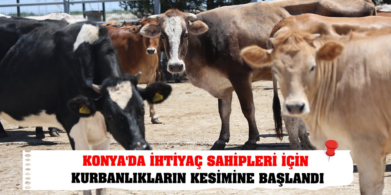 Konya'da ihtiyaç sahipleri için kurbanlıkların kesimine başlandı