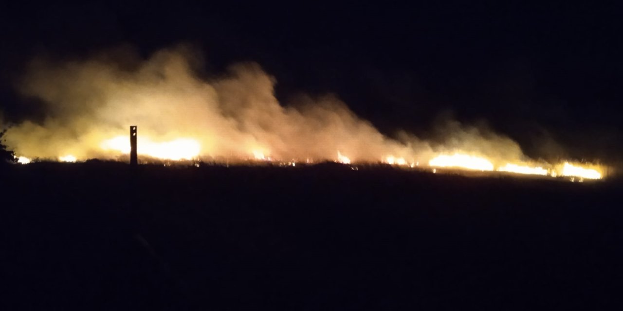 Seydişehir'de buğday ekili alan yandı