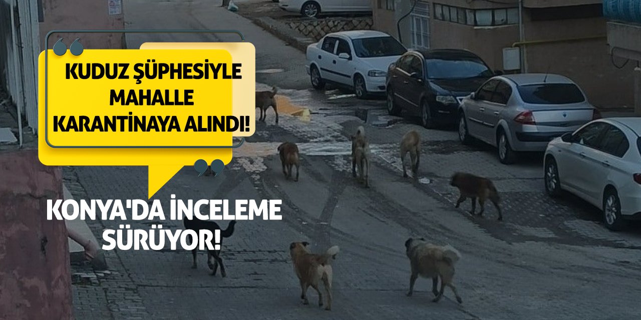 Kuduz Şüphesiyle Mahalle Karantinaya Alındı! Konya'da İnceleme Sürüyor!