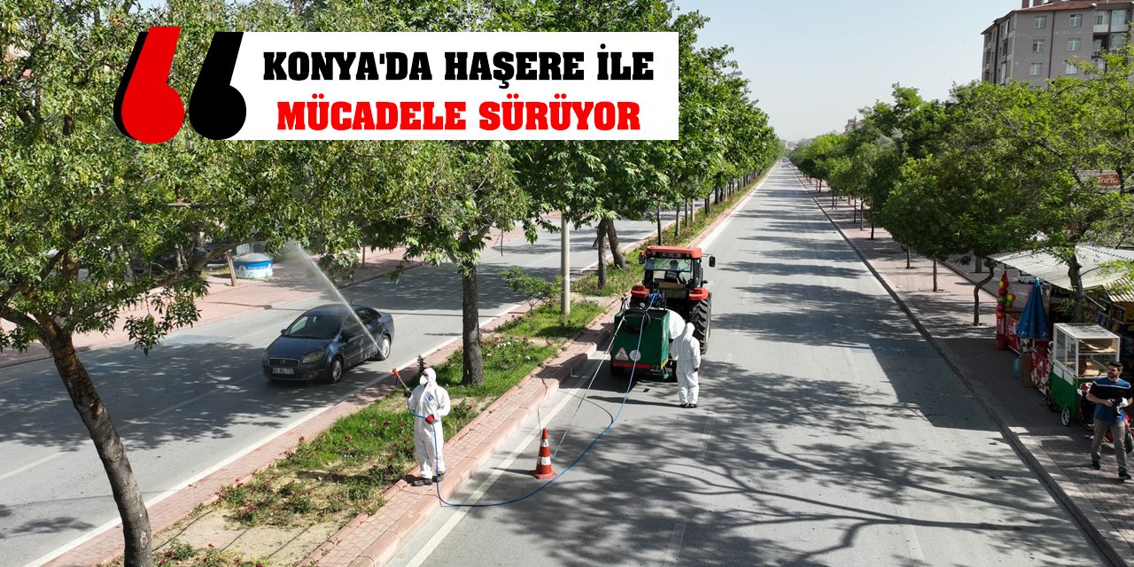 Konya'da haşere ile mücadele sürüyor