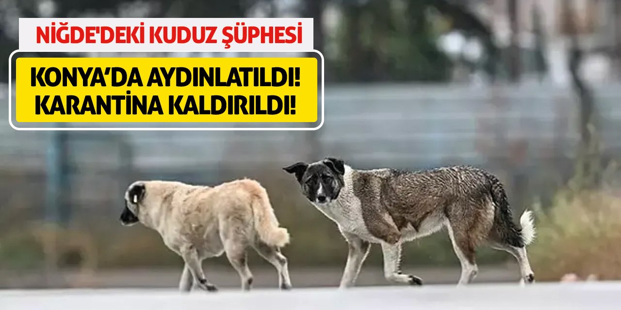 Niğde'deki Kuduz Şüphesi Konya’da Aydınlatıldı! Karantina Kaldırıldı!