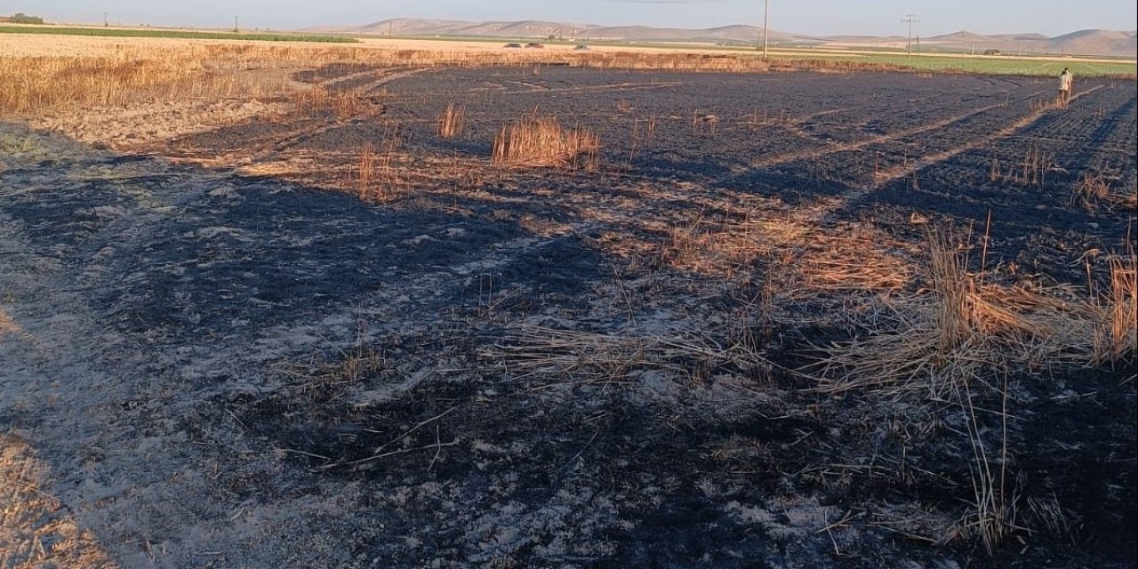 Karapınar'da buğday ekili tarla yandı