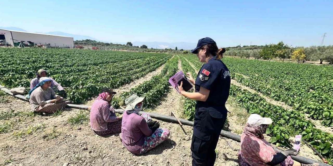 Tarım işçisi kadınlara KADES uygulaması yükletildi