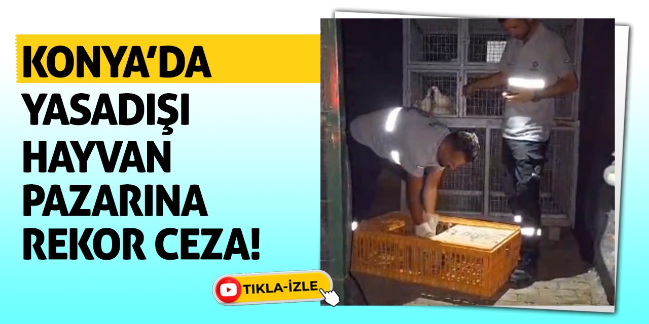 Konya’da yasadışı hayvan pazarına rekor ceza!