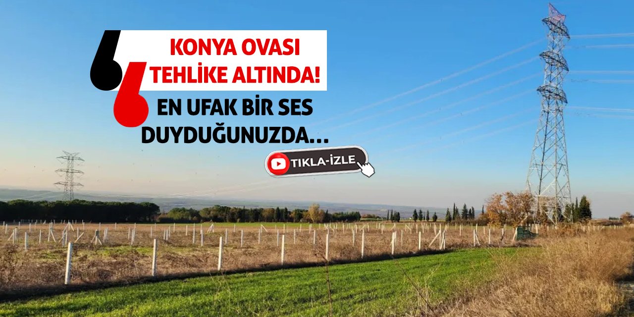 Konya Ovası Tehlike Altında! En Ufak Bir Ses Duyduğunuzda…