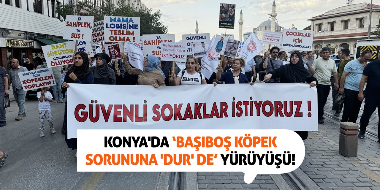 Konya'da 'Başıboş köpek sorununa 'dur' de' yürüyüşü!