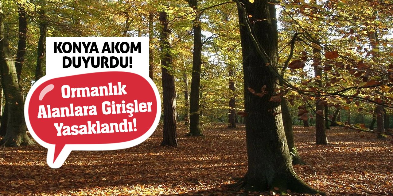 Konya AKOM Duyurdu! Ormanlık Alanlara Girişler Yasaklandı!