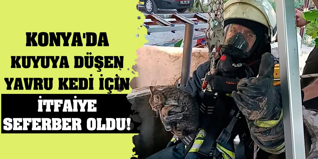 Konya'da kuyuya düşen yavru kedi için itfaiye seferber oldu!