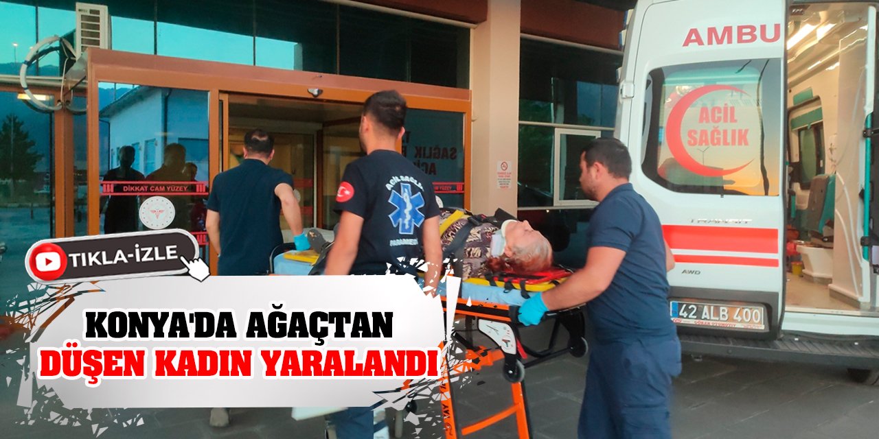 Konya'da ağaçtan düşen kadın yaralandı