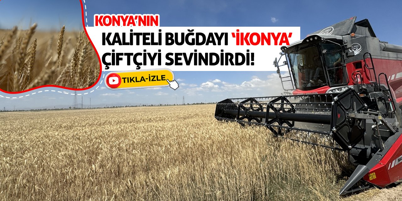 Konya'nın Kaliteli Buğdayı ‘İkonya’ Çiftçiyi Sevindirdi!