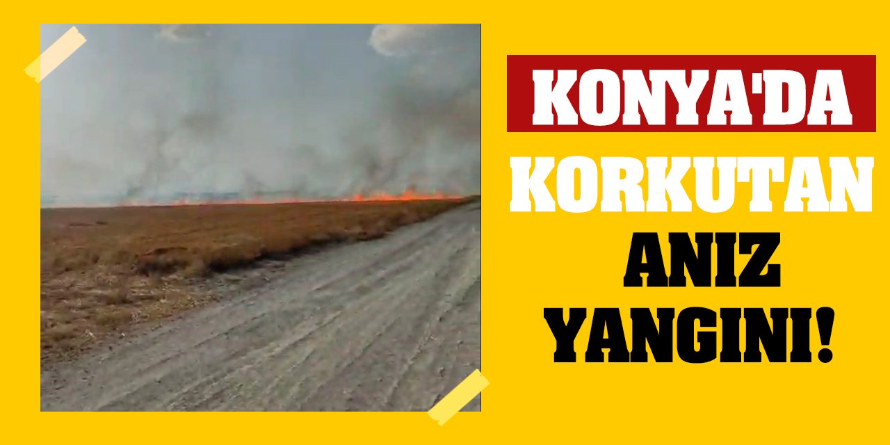 Konya'da Korkutan Anız Yangını!
