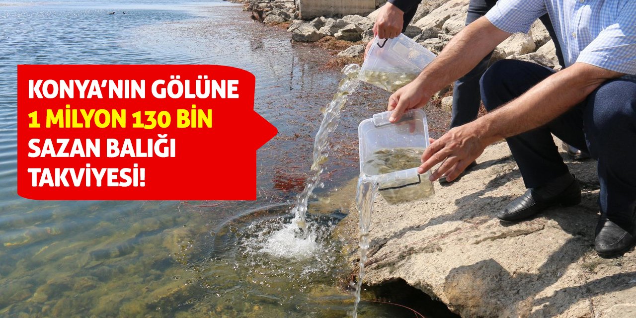 Konya’nın Gölüne 1 Milyon 130 Bin Sazan Balığı Takviyesi!