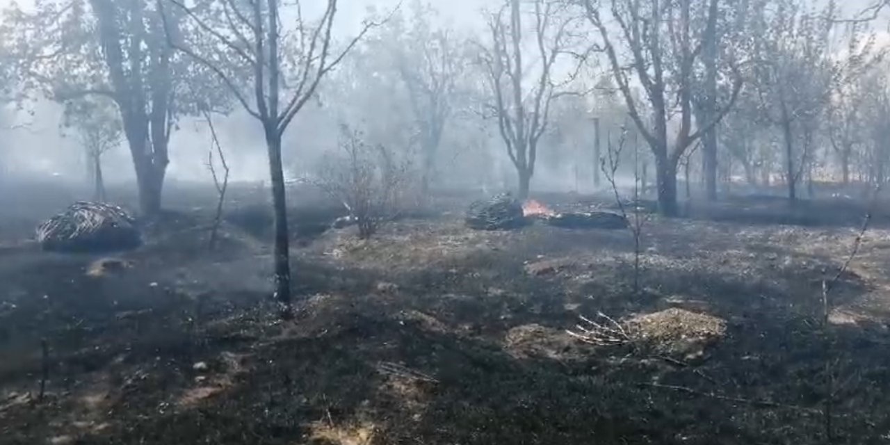 Isparta’da meyve bahçesinde çıkan yangında ağaçlar ve samanlar kül oldu