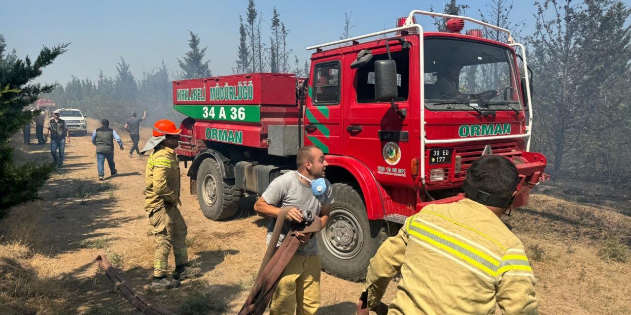 Kırklareli'nde korulukta yangın çıktı