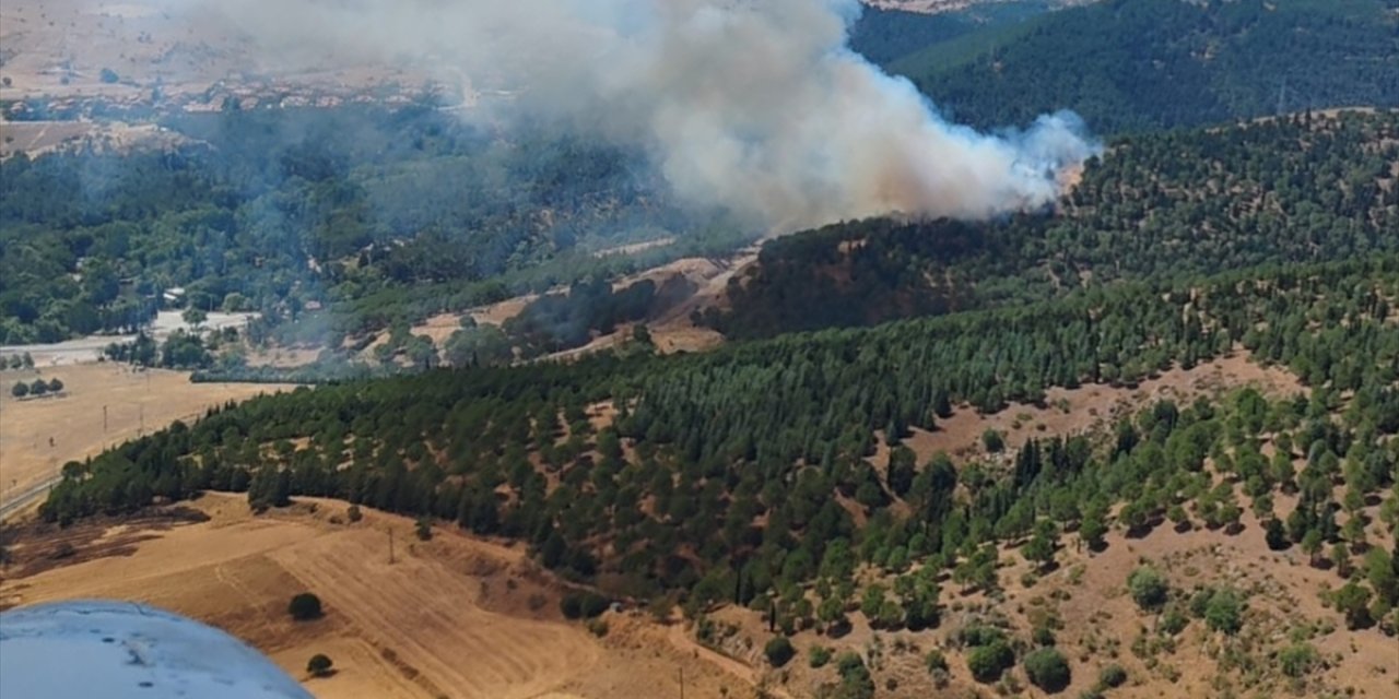 Balıkesir'de ormanlık alanda çıkan yangın kontrol altına alındı