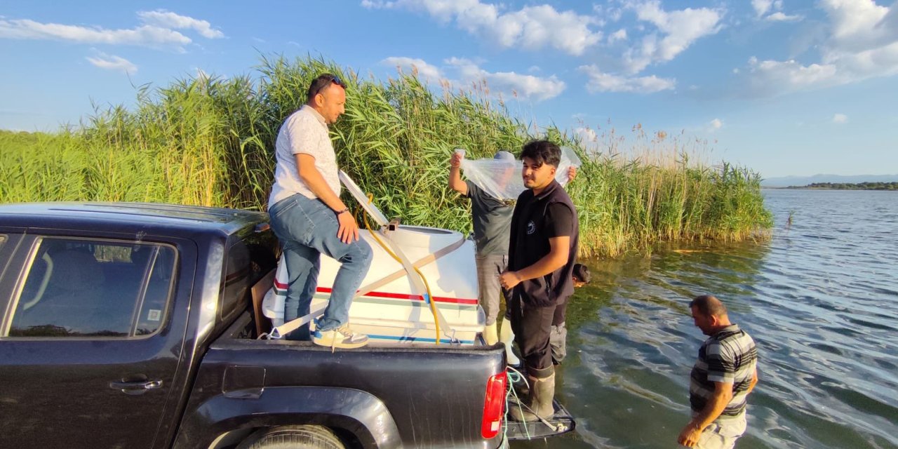Beyşehir Gölü'ne bırakılan balık sayısı 1.5 milyona ulaştı
