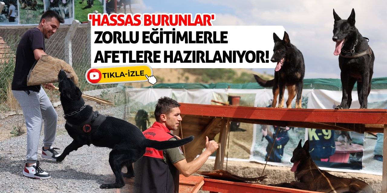 'Hassas burunlar' zorlu eğitimlerle afetlere hazırlanıyor!