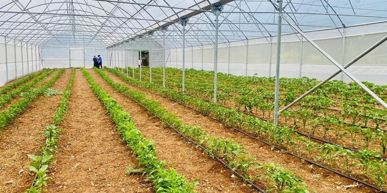 Beyşehir ve Hüyük'te örtü altı tarıma proje desteği