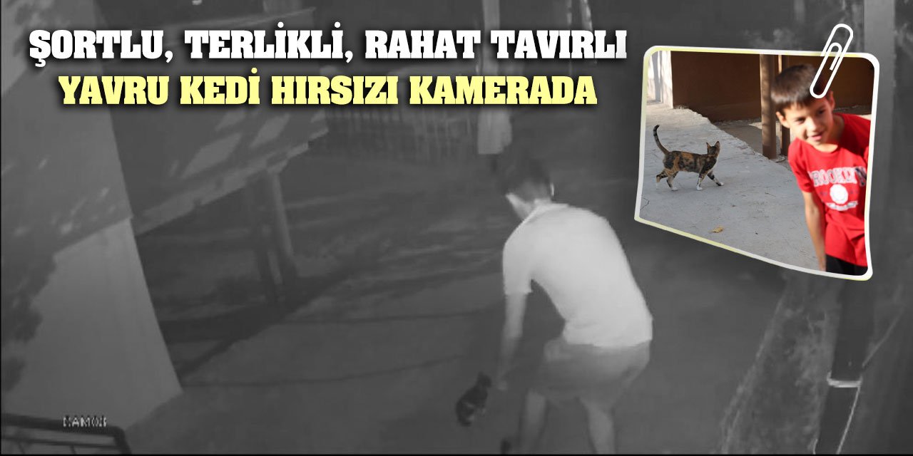 Şortlu, terlikli, rahat tavırlı yavru kedi hırsızı kamerada