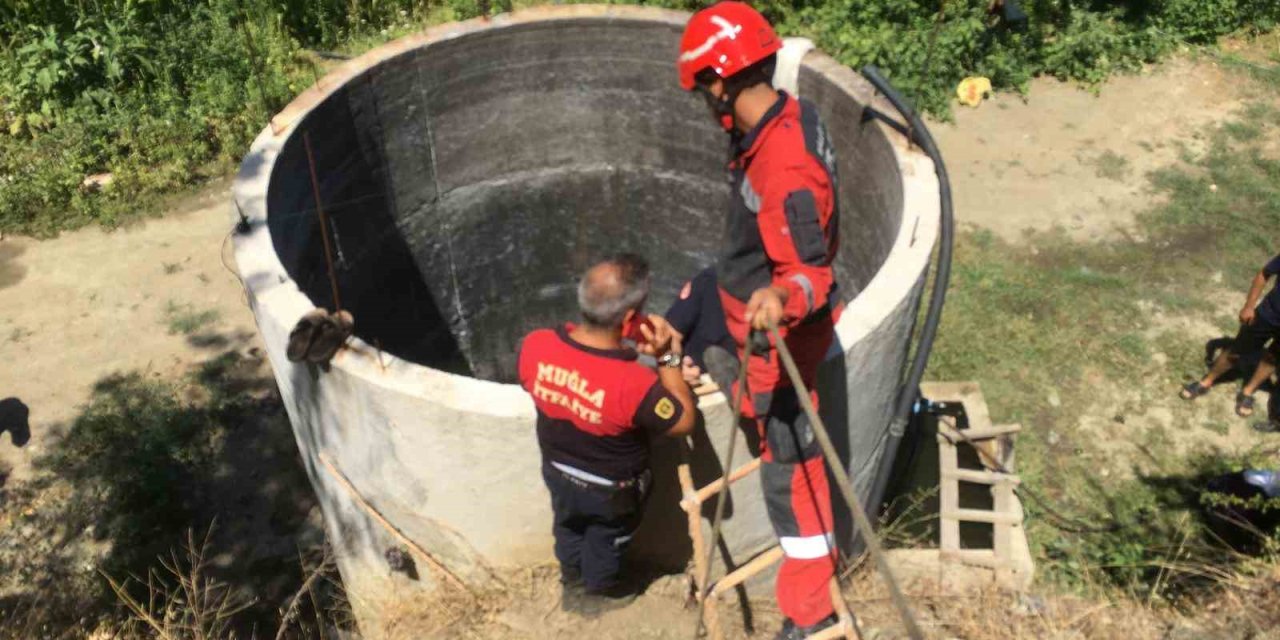 Serinlemek için girdiği su kuyusu sonu oldu