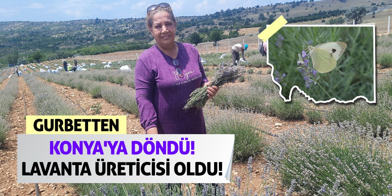 Gurbetten Konya'ya Döndü! Lavanta Üreticisi Oldu!