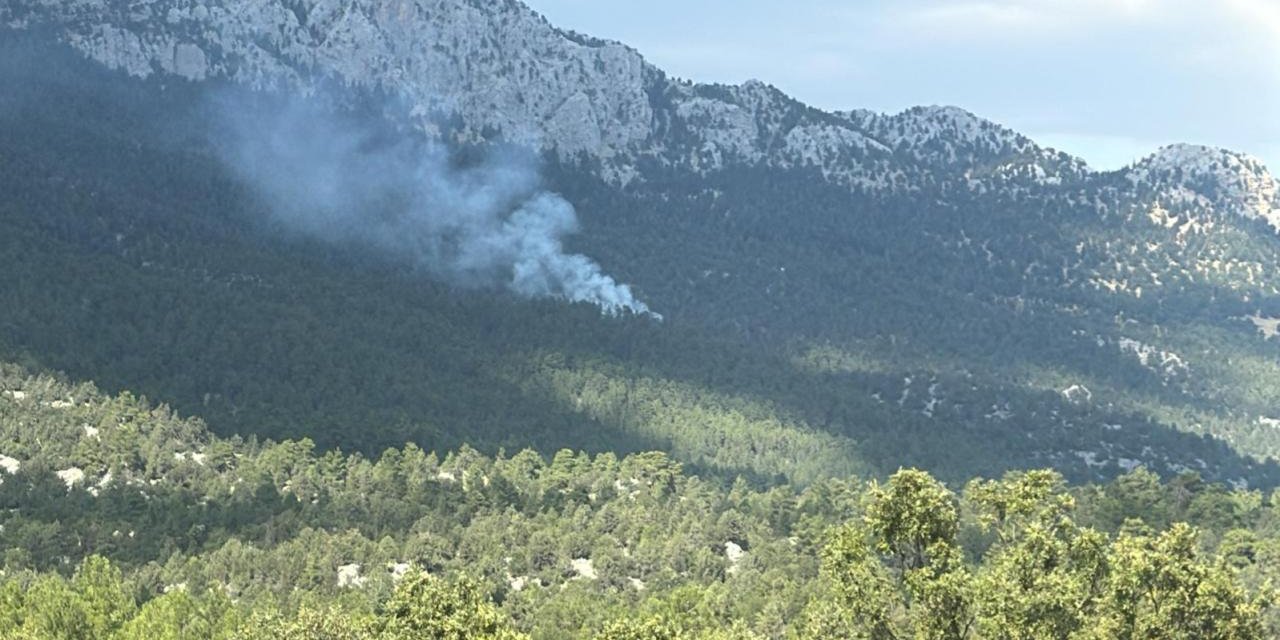 Antalya'nın Akseki ilçesinde orman yangını