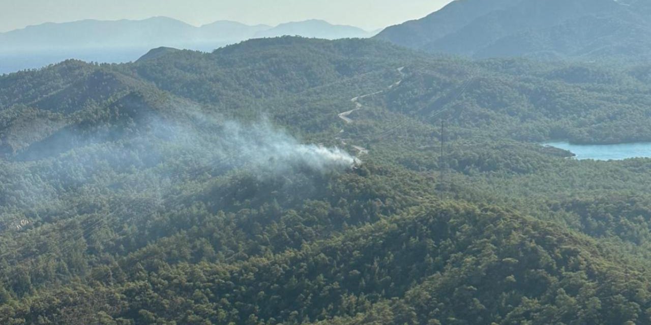 Muğla'da orman yangını