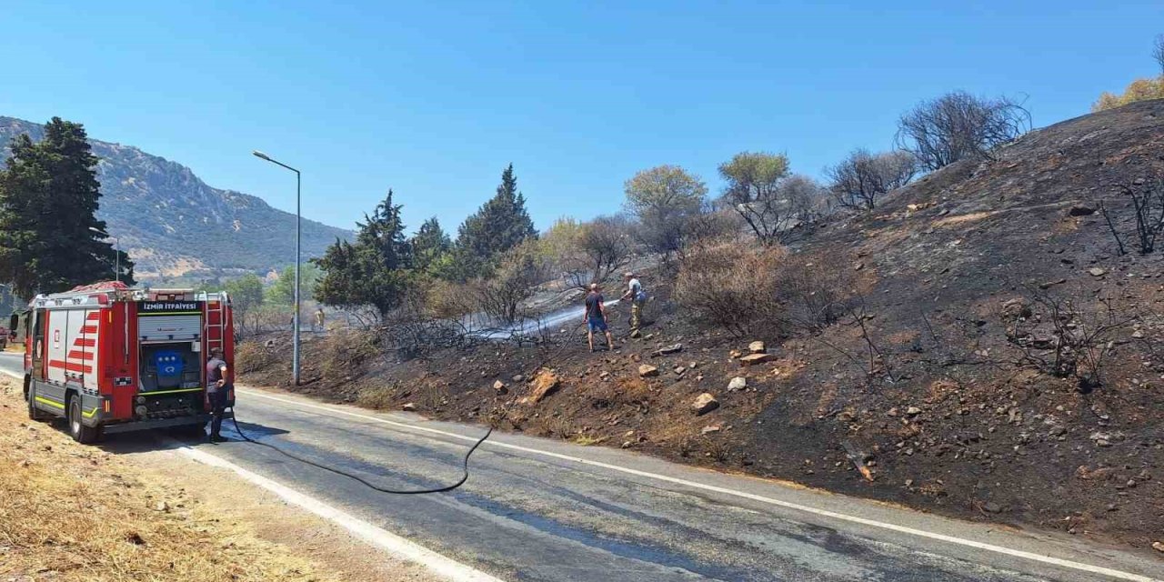 Efes Antik Kenti yakınında korkutan yangın!