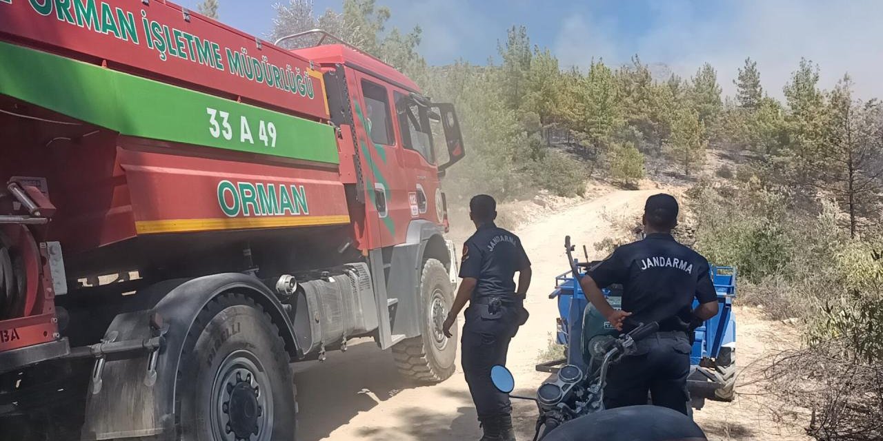 Mersin'de orman yangını