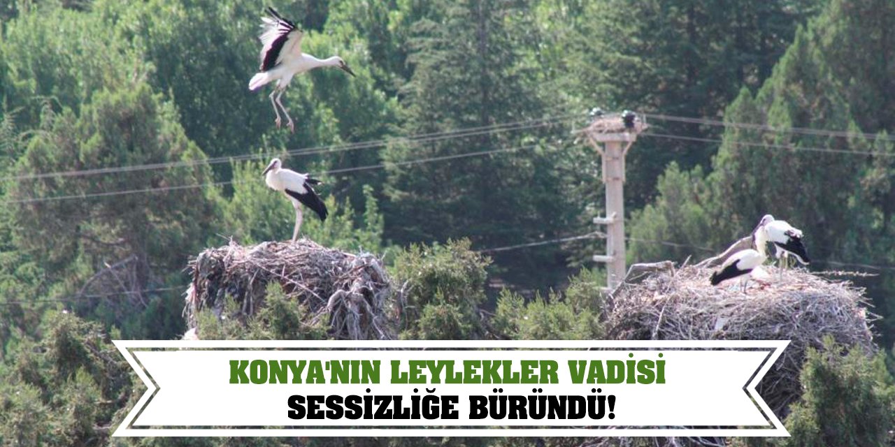 Konya'nın Leylekler Vadisi Sessizliğe Büründü!