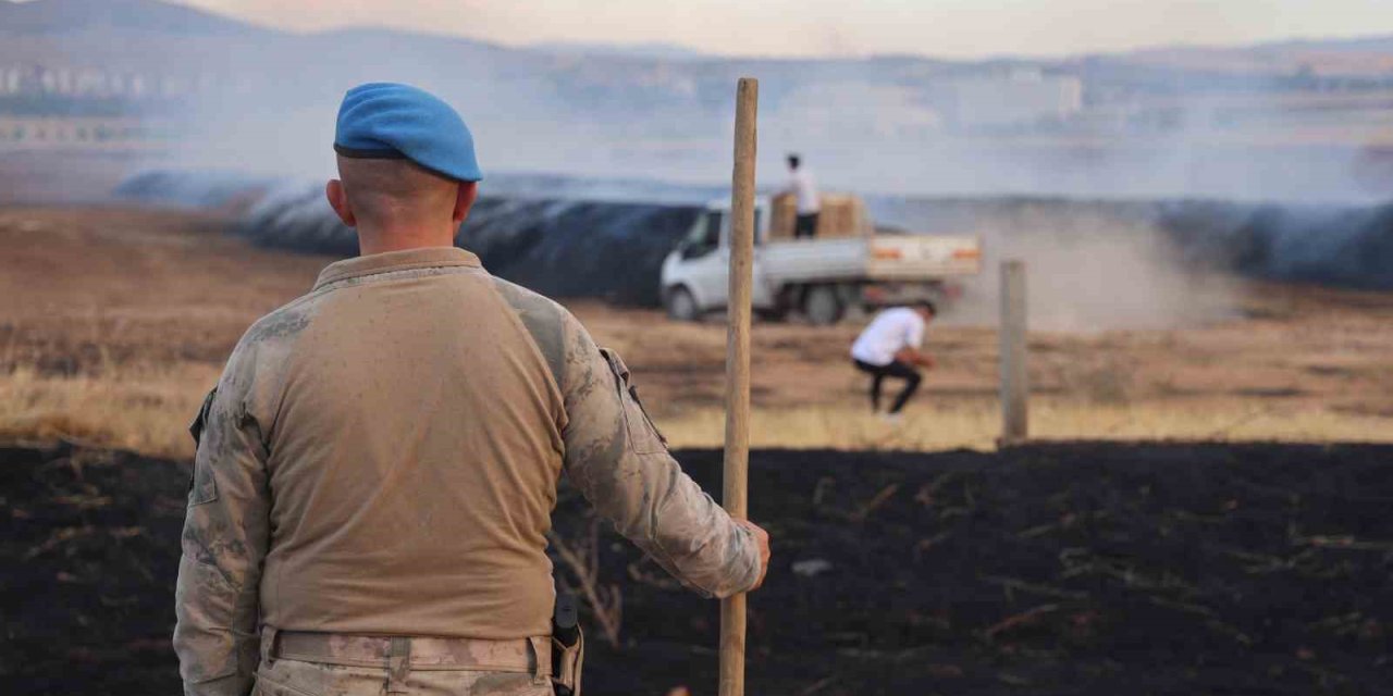 Çıkan yangında 400 ton saman kül oldu