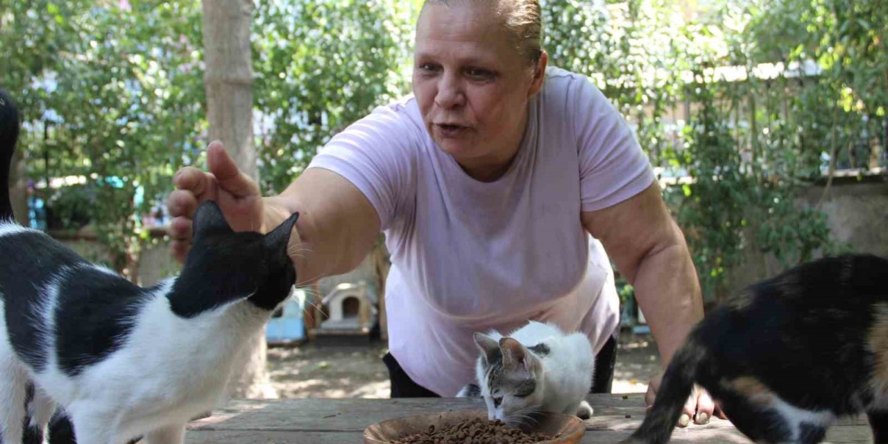 Bir sesine onlarca kedi koşuyor